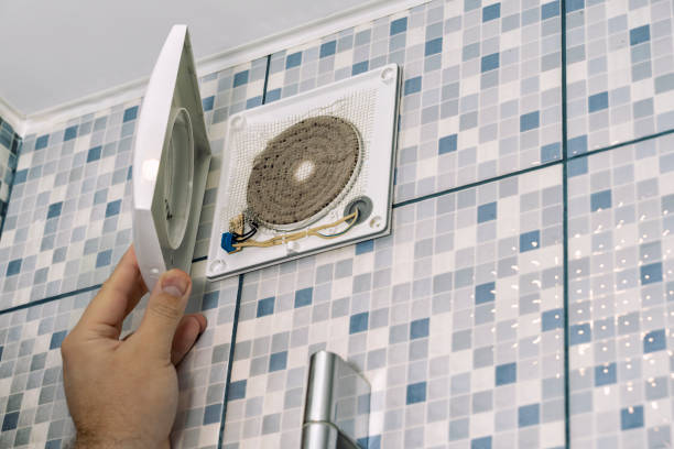 Air Duct Mold Removal in Waukesha, WI
